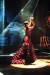 Flamenco3