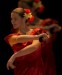 Flamenco2